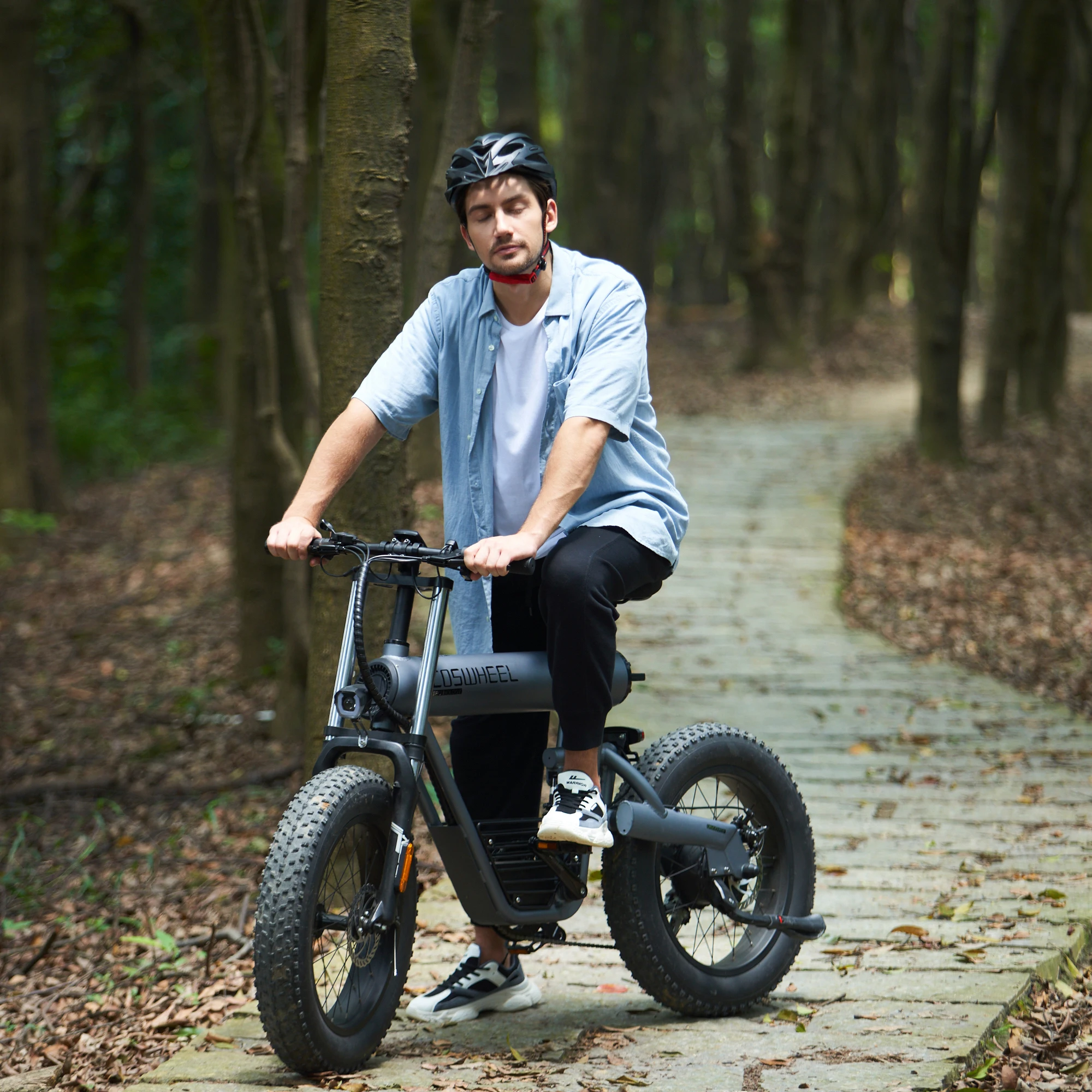 High quality 60km Range mountain bike electric bicycle 500w road bike