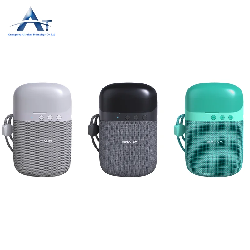 Factory Price Newest 2 in 1 Wireless Blue Tooth TWS Earphone BT Speaker with Earbuds