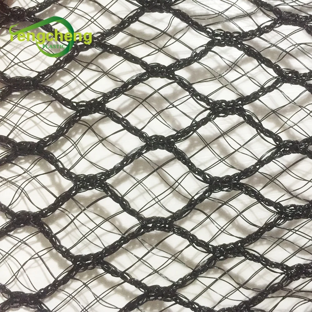 Agriculture HDPE with UV Material Anti Bird Net High Quality Pond Fish Net