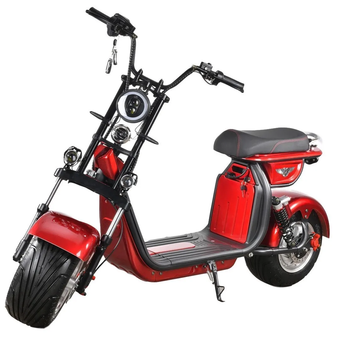 New Style Fat Tire Qatar 800W Electric Scooter For Two Person
