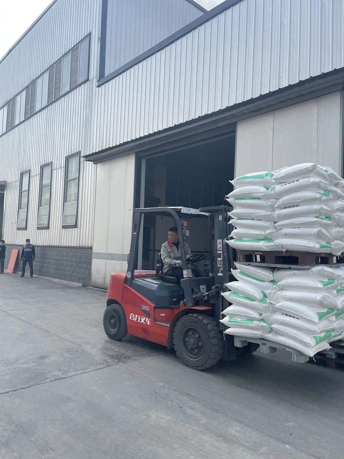 Wholesale Price Vital Wheat Gluten Price Cas 8002-80-0 Pure Wheat Gluten