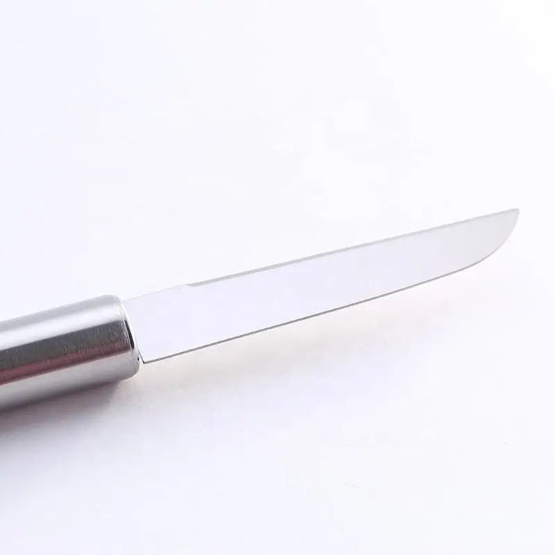 Бесплатный образец, изготовленный на заказ, немецкий поварский нож, мясник, шеф-повар, резьба по хлебу, стейк, овощной Фруктовый нож для кухни, изготовленный из качественной стали