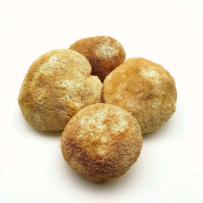 Dried Lions Mane Mushroom & Hericium Erinaceus Mushroom & Monkey Head Mushroom Drop Shipping