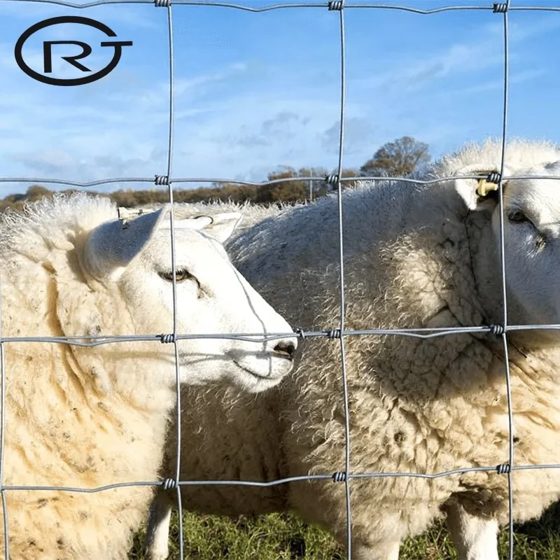 Pig Sheep Deer Cow Horse Ring Mountain Protection Net Fence