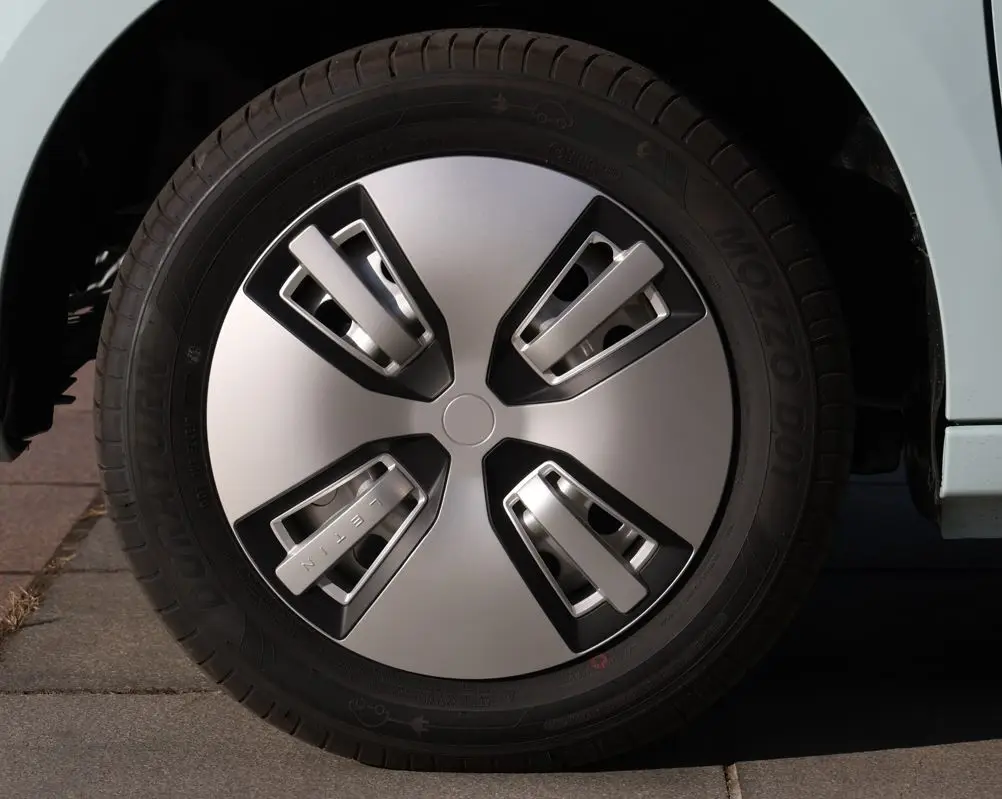 Raysince High Speed Electric Car for Adults