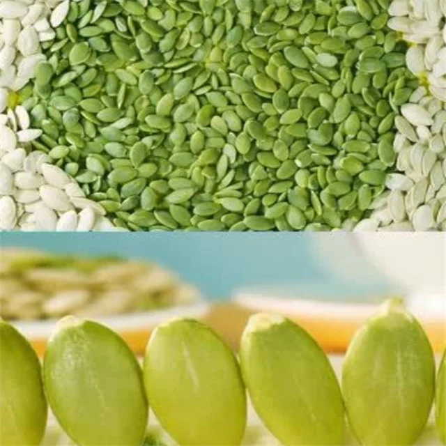 Top Choice Vegetable Seeds Pumpkin Seeds Green Squash Seeds with Premium Quality