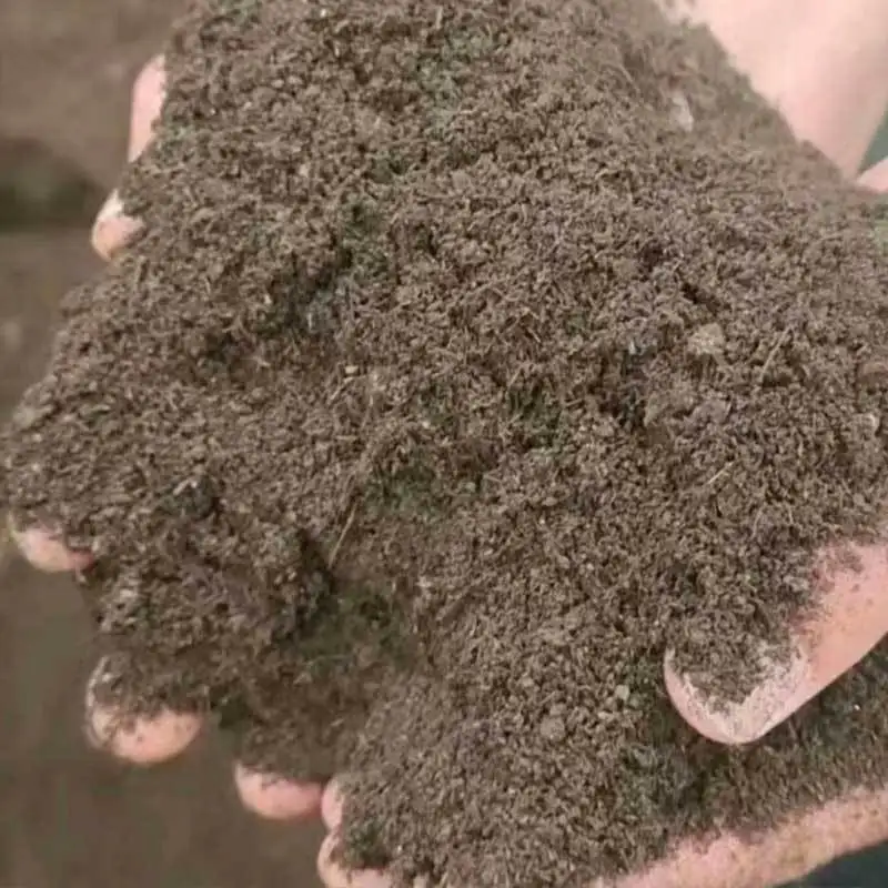 China Organic Fertilizer Agriculture Bulk Plant Source chelate micronutrite Amino Acid Powder organic fertilizer