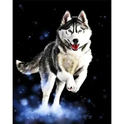 Paintboy DIY digital painting by numbers customs design wholesale painting by numbers for children Digital Oil Painting