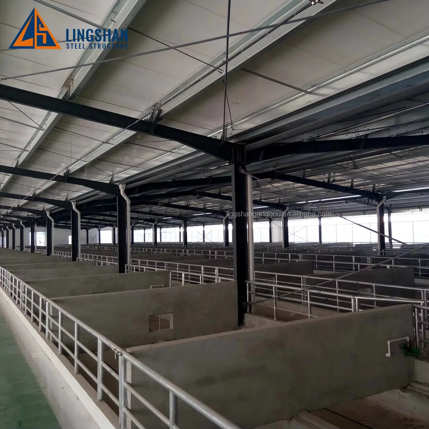 low cost livestock shelter dairy farm shed for live cattle and goat shed