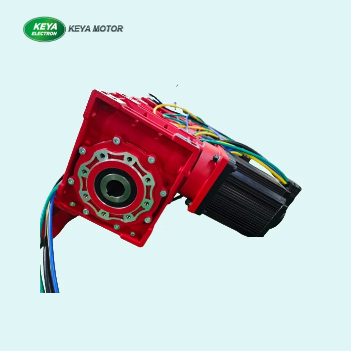Dc 24V 1000W высокий крутящий момент червячный редуктор