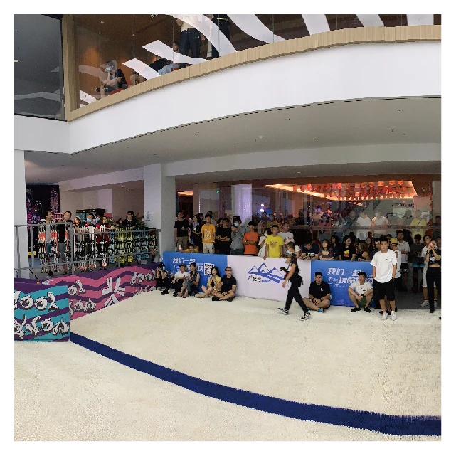 Chinese factory cheap price high quality engineering plastics artificial dry ski slope