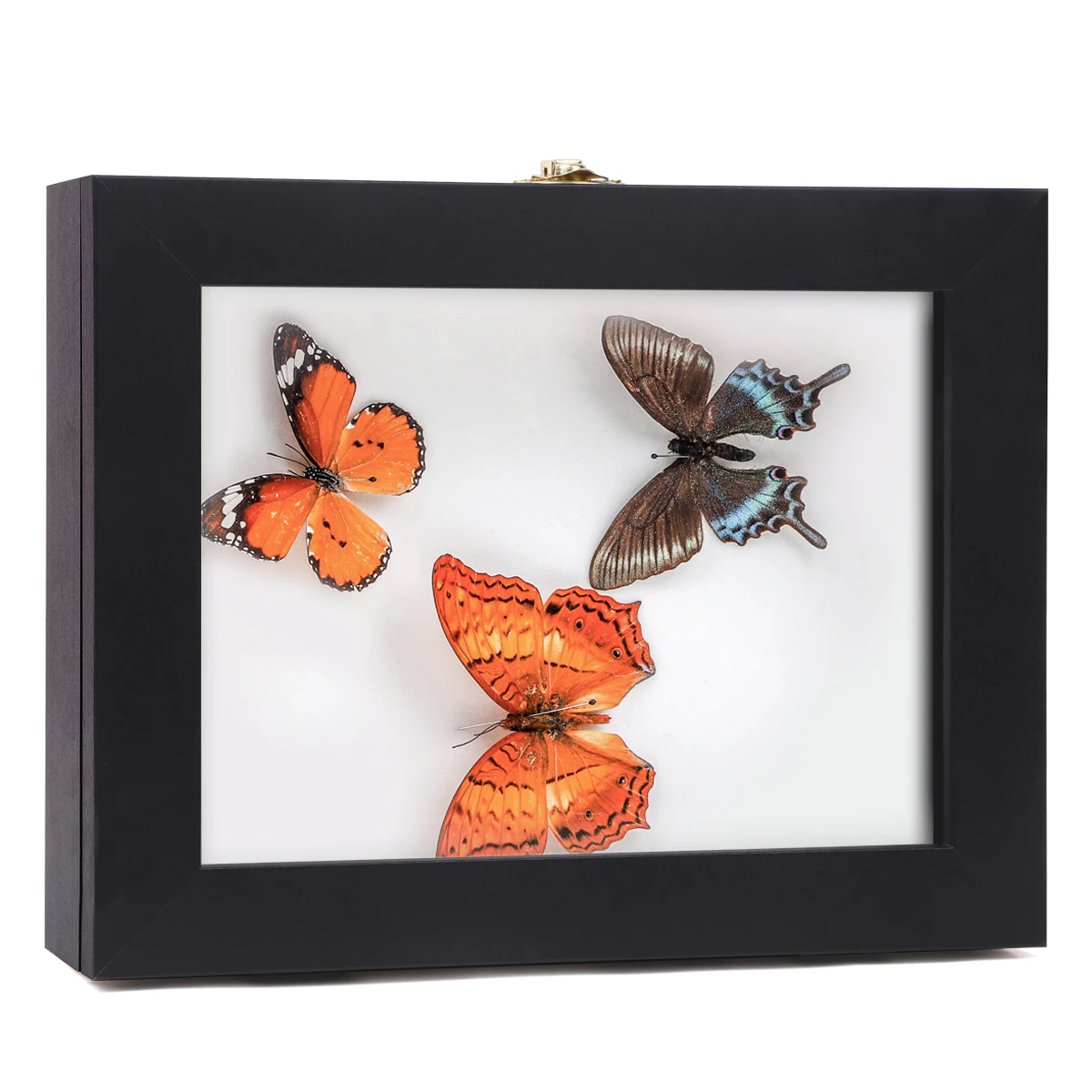 Deep Shadow Box Frame Dried Butterfly Wall Mounted Home Decor Wholesale Butterfly Shadow Box Frame 8*8 Butterfly Frame