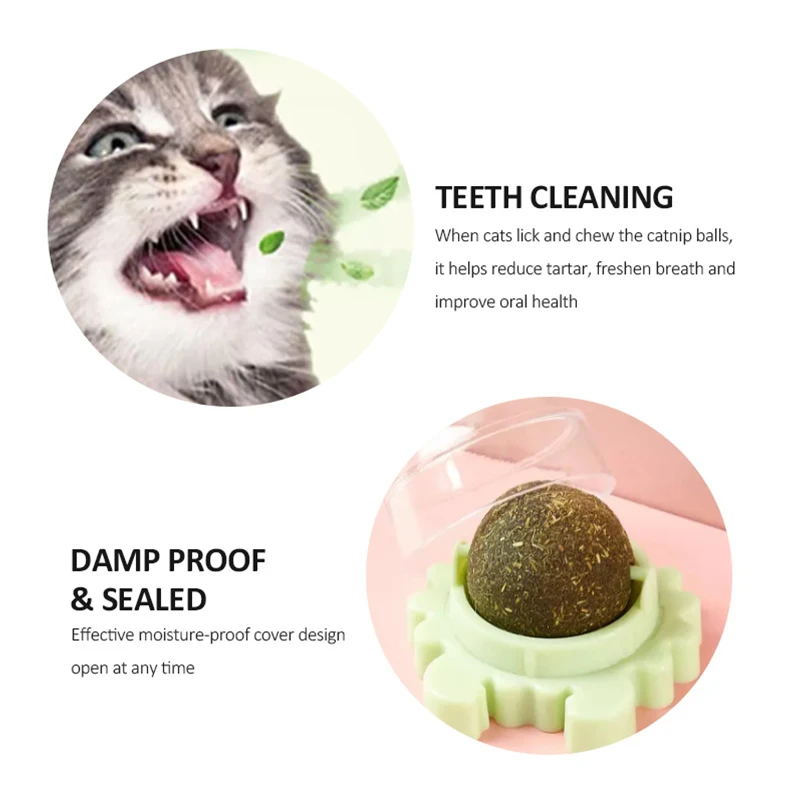 Contain catnip snack lollipop cat toys interactive ball catnip sucker wall ball cat toy with catnip mint