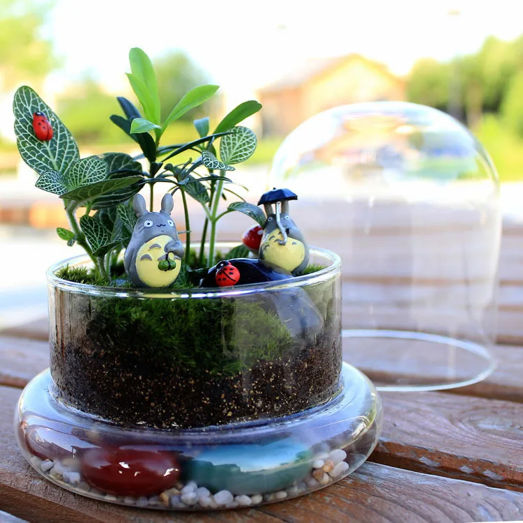 Glass Preserved Flower Dome Display Clear Cloche Bell Jar Terrarium