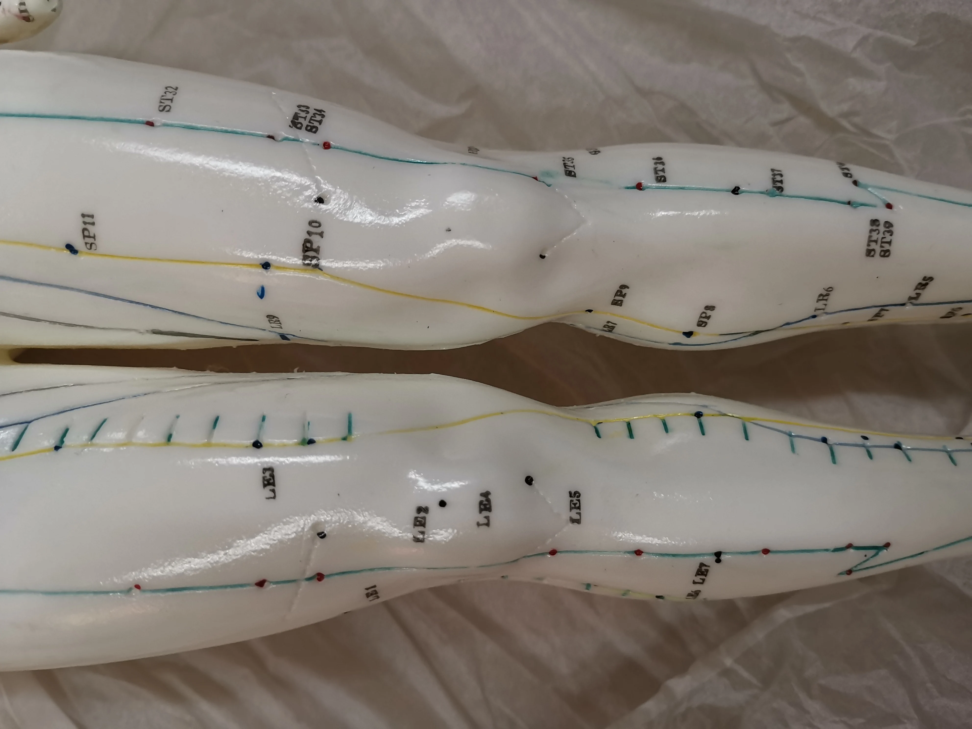 Top Quality 70CM Male Human Body Acupuncture Points Model Meridians Model Teaching Model English User Manual