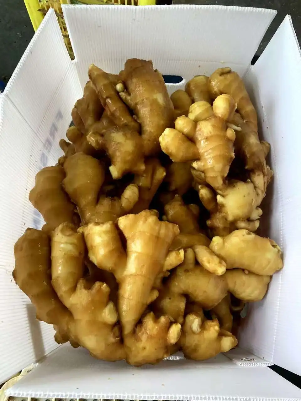 Organic Ginger USDA certification Dried Ginger Supplier Fresh Ginger Pvc Carton Packaging For Wholesale
