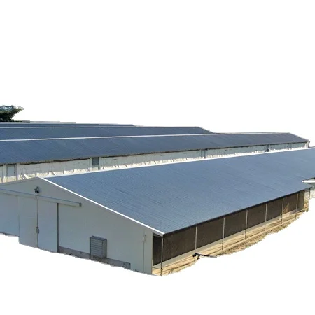 Broiler Chicken House Poultry Farm