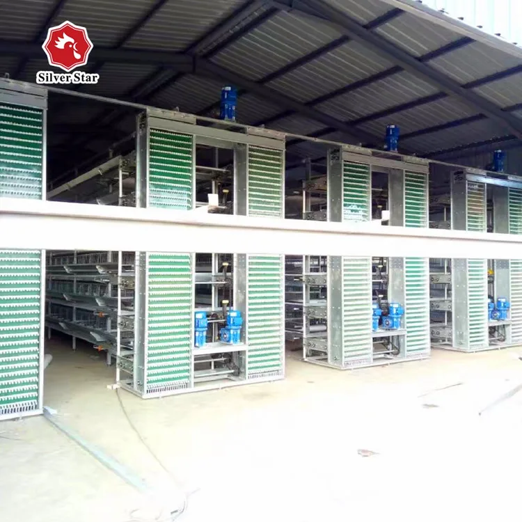 2024 New Automatic Battery Cage H Type Layer Chicken Coop with Galvanized Steel Material for chicken farm