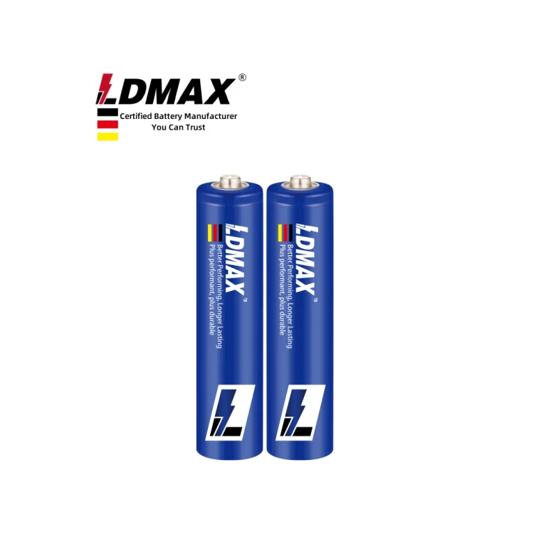 LDMAX AAA 1.5V Battery UM-4 Triple AAA Dry Cell Battery R03P Zinc Carbon Heavy Duty Column AAA Battery for SALES