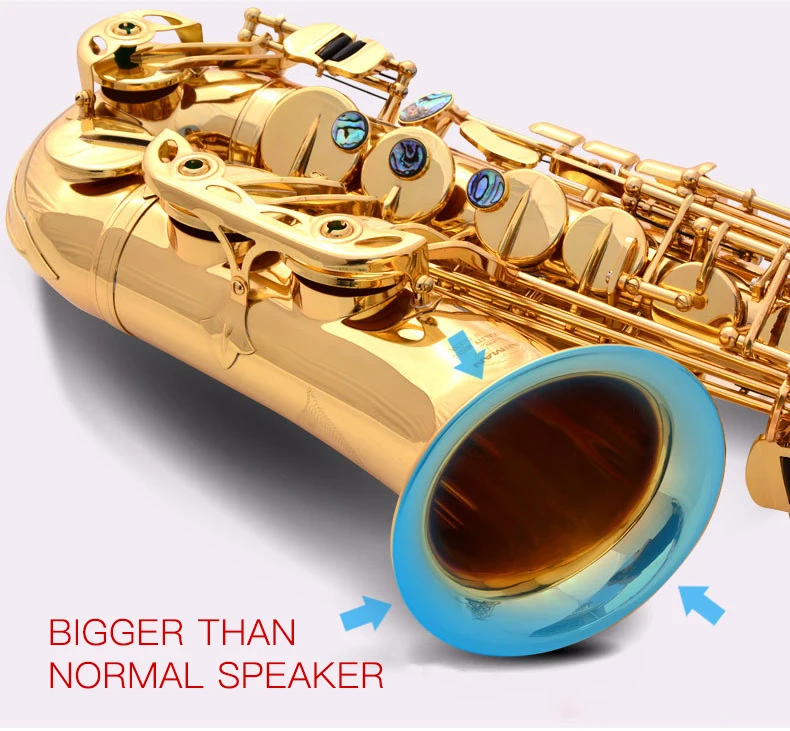 Gold Lacquer AE-802 Brass Alto Sax Instrument Accessories Professional Eb  China Sax Saxophone Alto