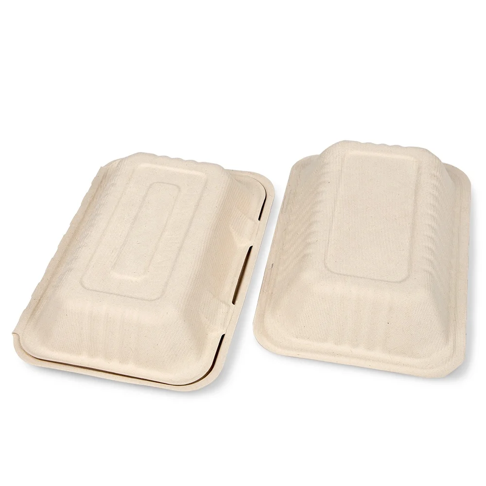 9 Inch Clamshell Box Biodegradable Bagasse Clamshell Salad Bento Box Compostable Clamshell Take Out Food Containers