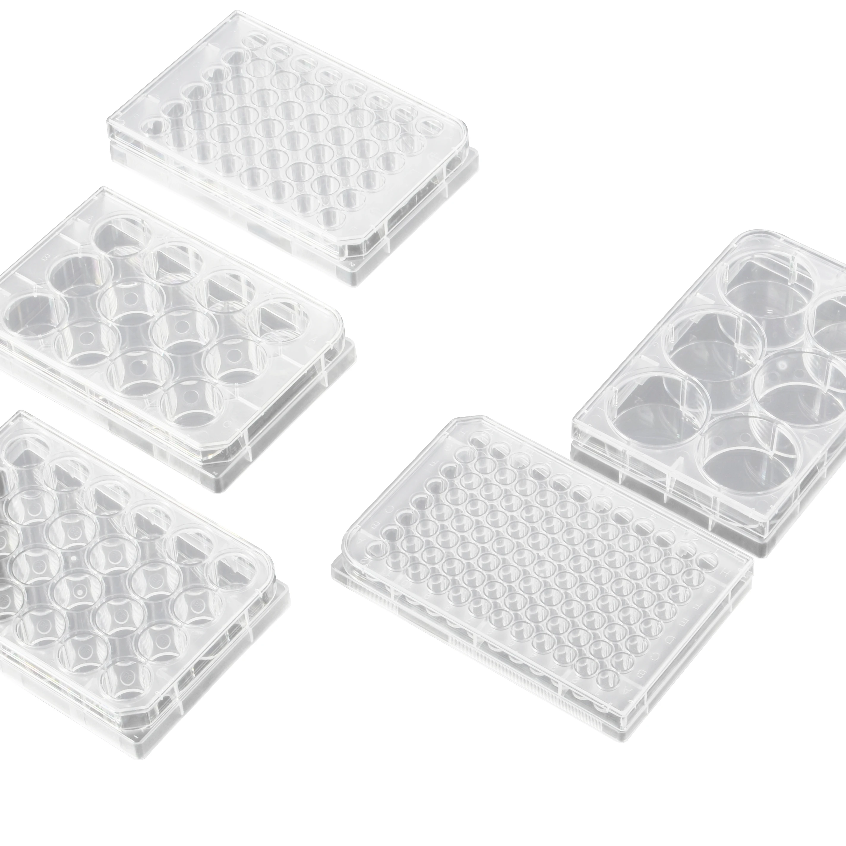 Factory sale various widely used Cell Culture Plates Supplier TC treated 12 24 48 96 wells PS tissue culture plates