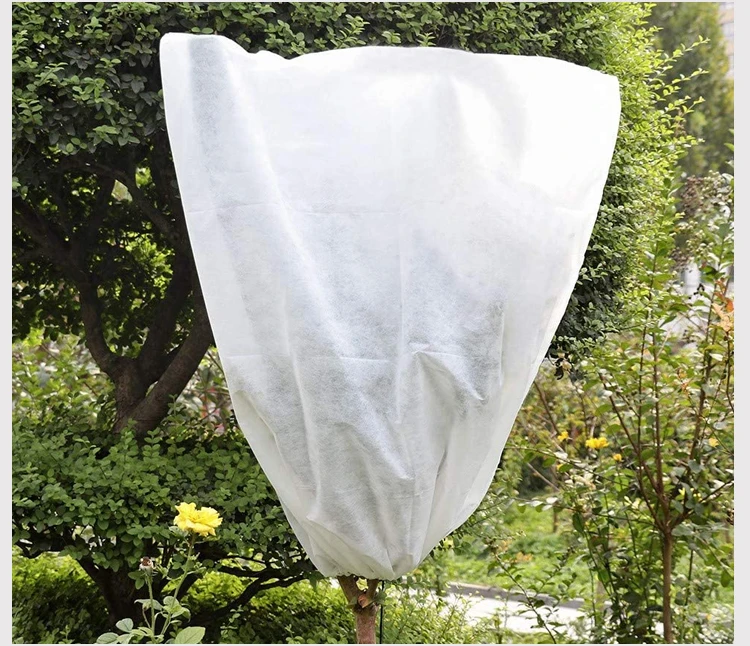 PP Spun Bonded Non Woven Agriculture Cover Garden Fleece Cloth Anti Frost Plant Cover Nonwoven 100% Polypropylene Canvas Fabric