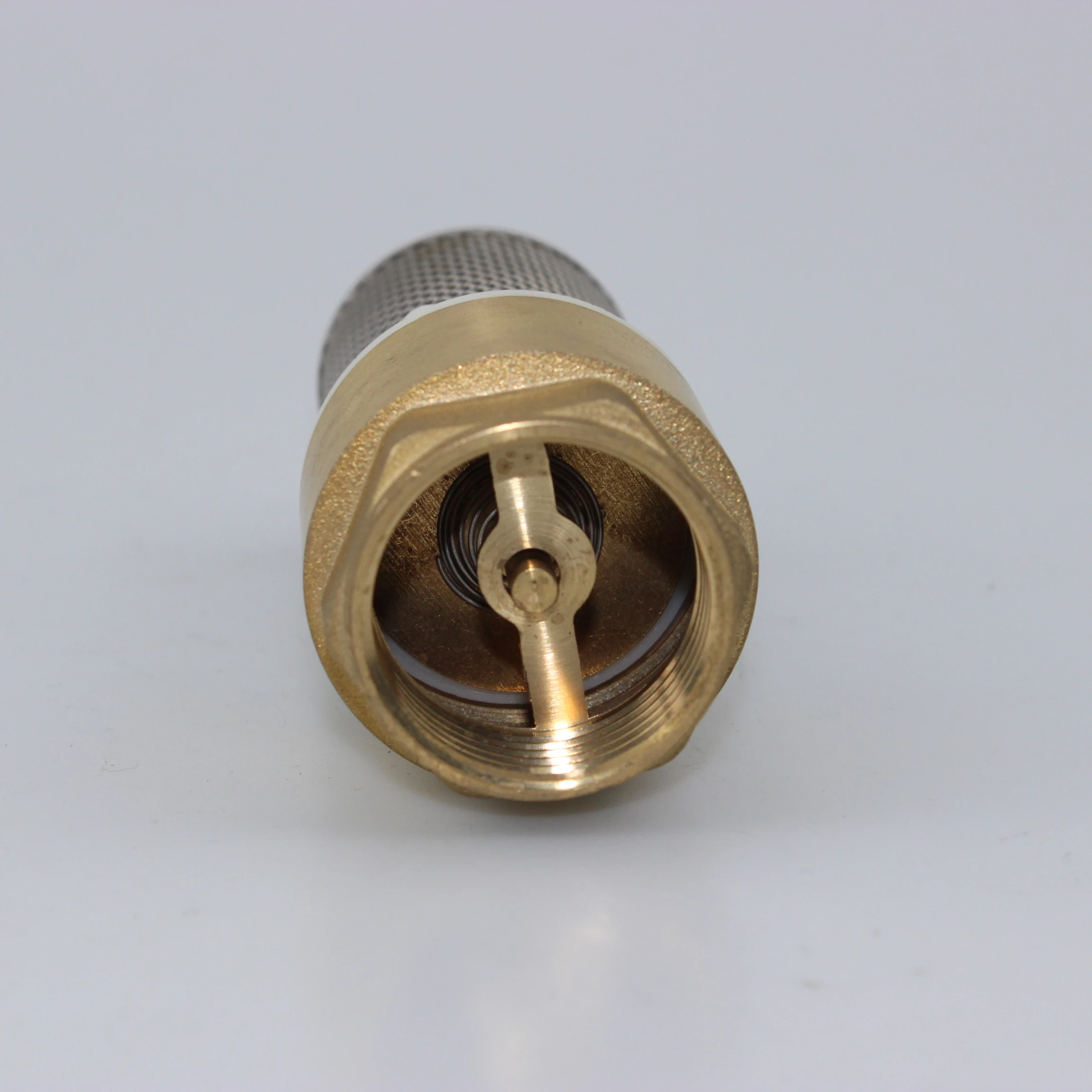 vertical brass check valve spring foot valve with stainless steel filter BSP thread ends