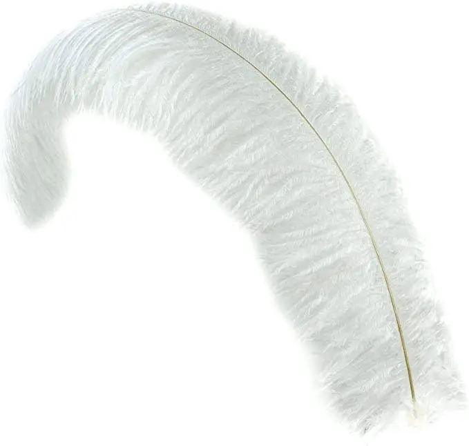 Wholesale Floss Ostrich Feathers  For Wedding Carnival Performance Millinery Fashion and Costume Design
