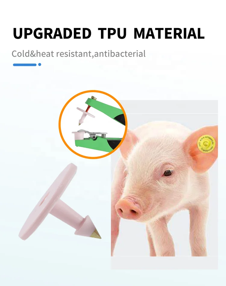 UHF002 Laser Printing TPU Material UHF RFID Strip Pig Sheep Ear Tag For  Farm Livestock Management