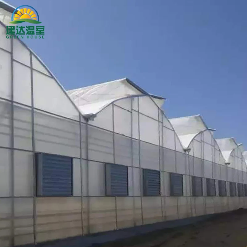 The best quality roof Film and side polycarbonate Greenhouses for tomato growing SUNSGH greenhouse made in china