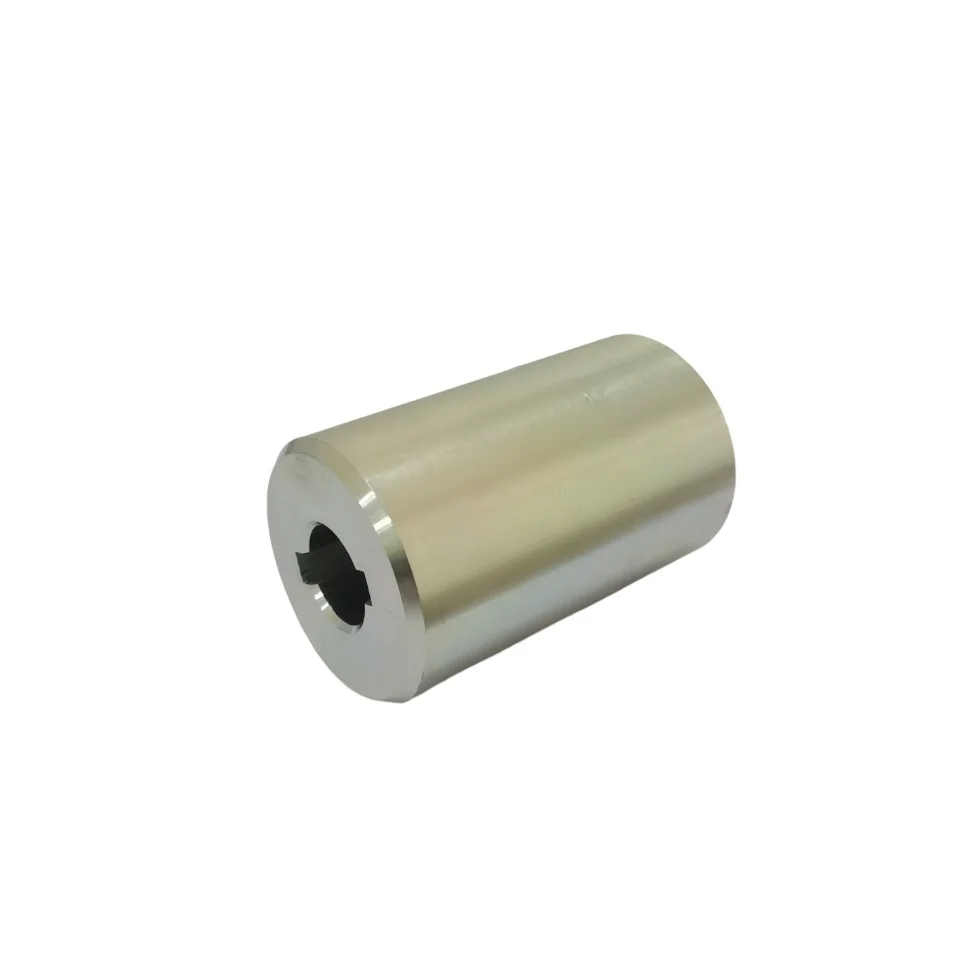 Professional Manufacturer Cheap Industrial Check Valve Couplings for High-Pressure Applications