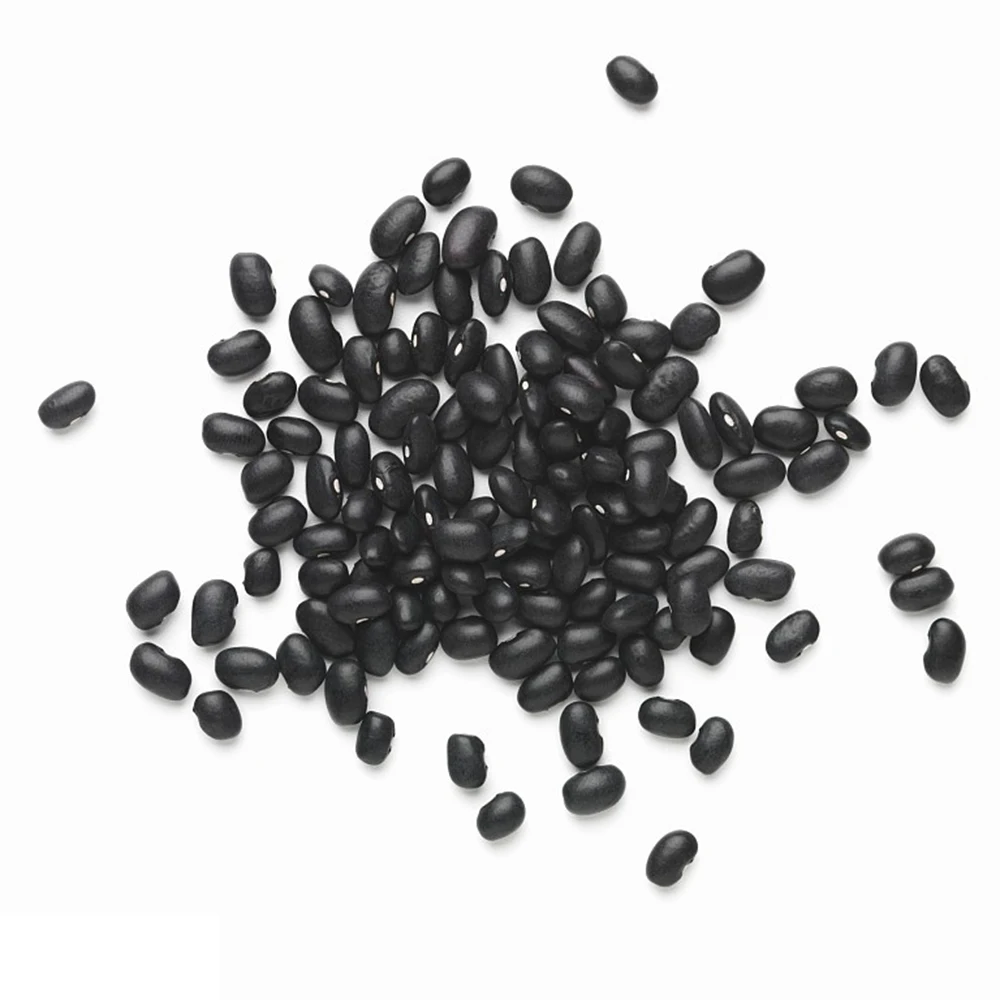 Myanmar good quality green kernel black bean organic black beans