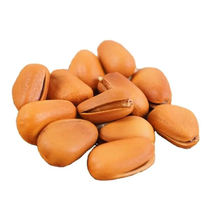 Sell raw pine nuts cooked pine nuts roasted pine nuts