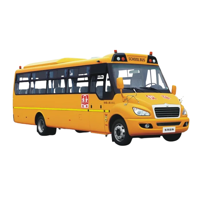 Dongfeng LHD/RHD дизельные китайские школьные автобусы на продажу