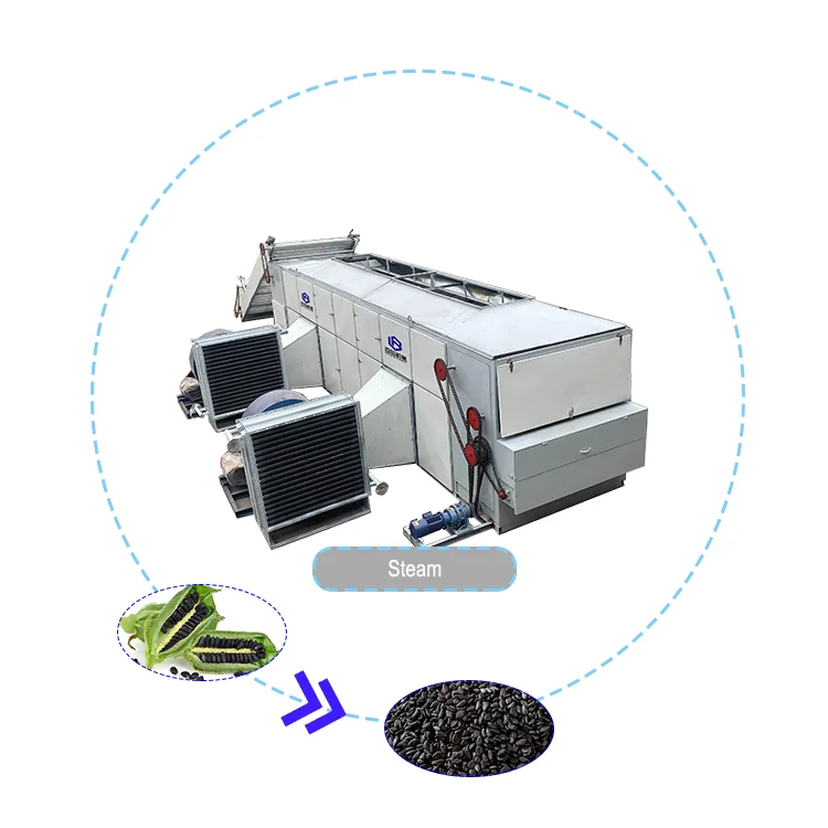 Industrial Automatic Drying Machine Continuous Conveyor Belt Dryer Machine Sesam Machine Dryer