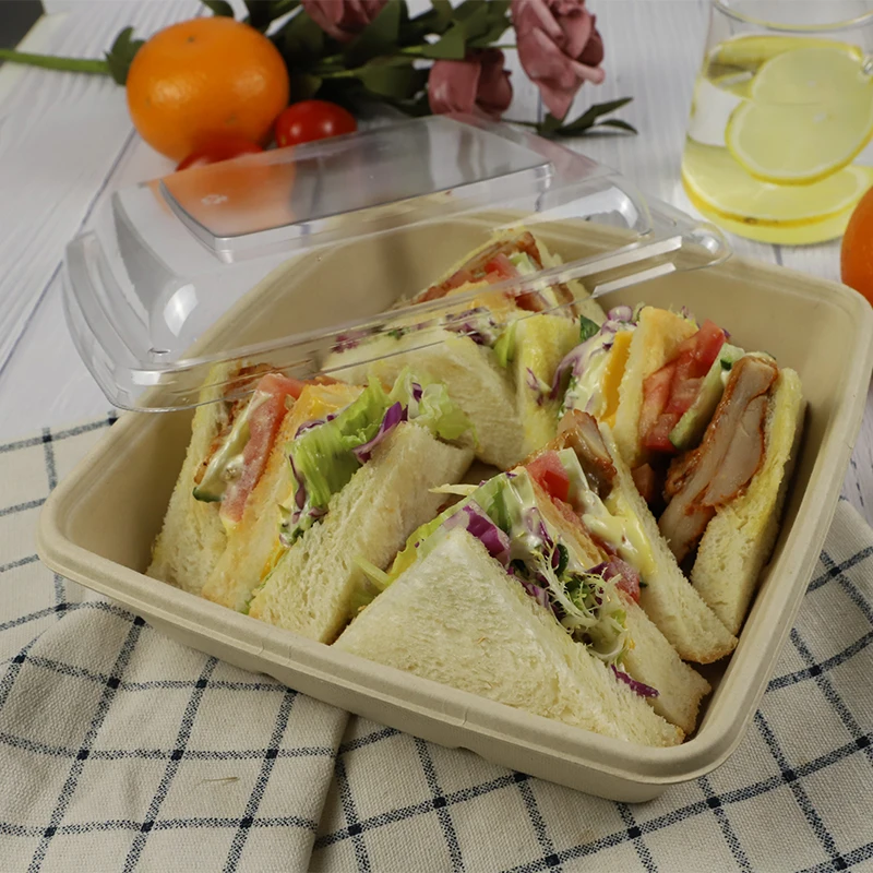 8*8-inch 1000ml/32Oz Square Environmental Biodegradable Takeaway Disposable Recycled Food Container Sugarcane Bento BOX