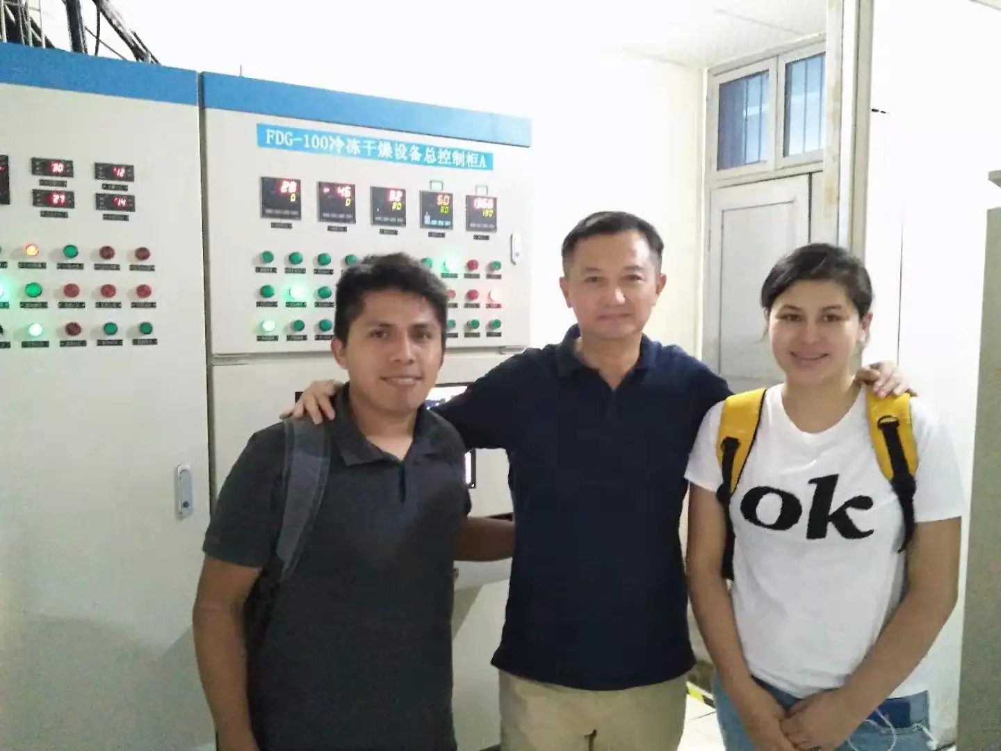 Herbal medicine vegetable food 100kg 200kg  vacuum freeze dryer   price low manufacture from China