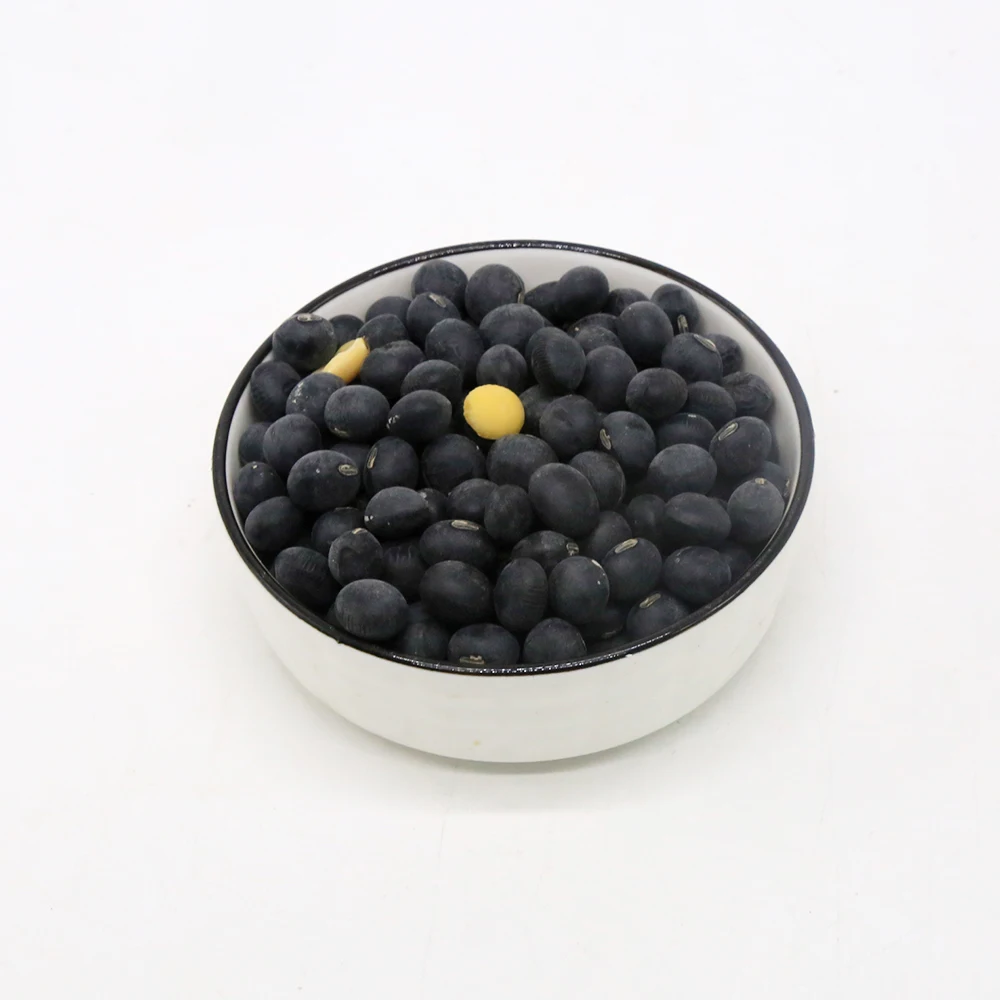 Hot Selling High Quality Common Natural Bulk Black Beans at Company Price