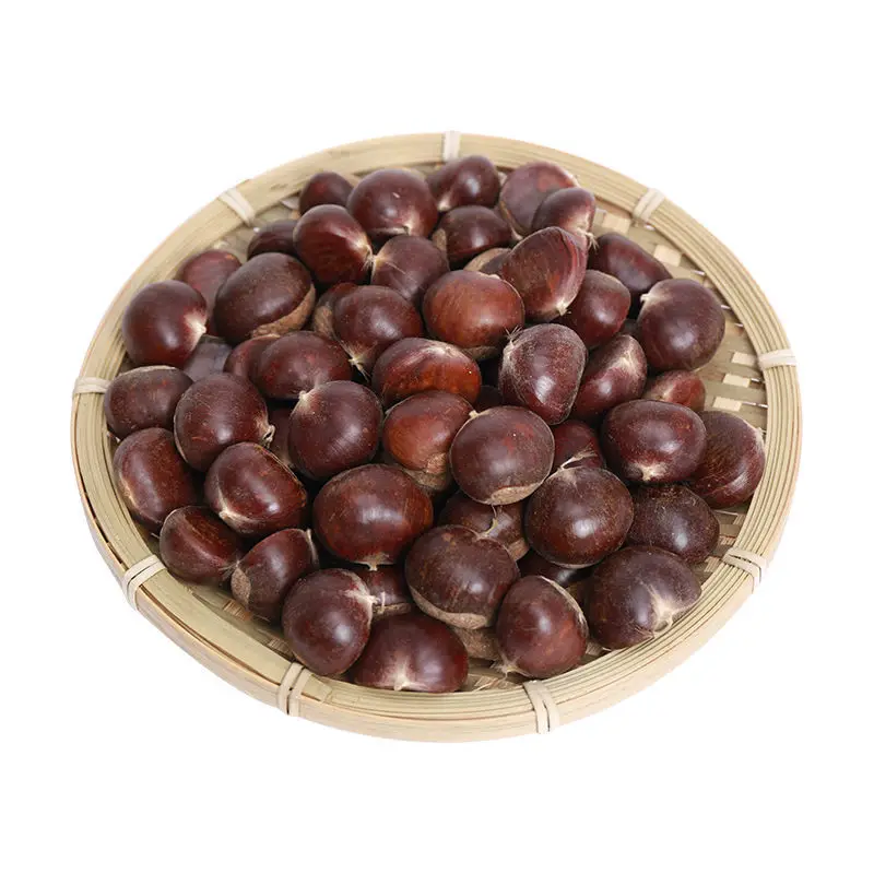 Best Quality green crop hebei yan shan chestnuts for sale chestnut ready to eat chestnuts for sale