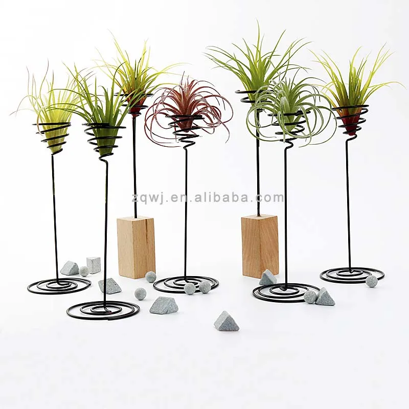 Metal Topper Plant Container Tillandsia Pots Tillandsia Racks Tall Spiral Flower Stand Air Plant Holders for Indoor Display