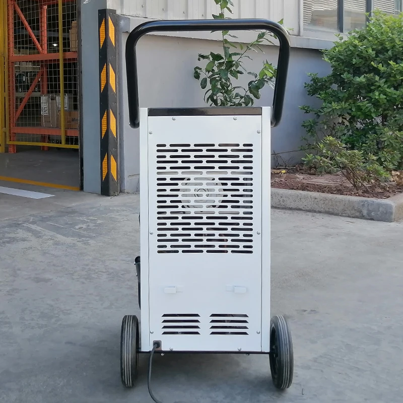 55L 60L Cheap price strong dehumidifying portable easy home dehumidifier R290 Refrigerant