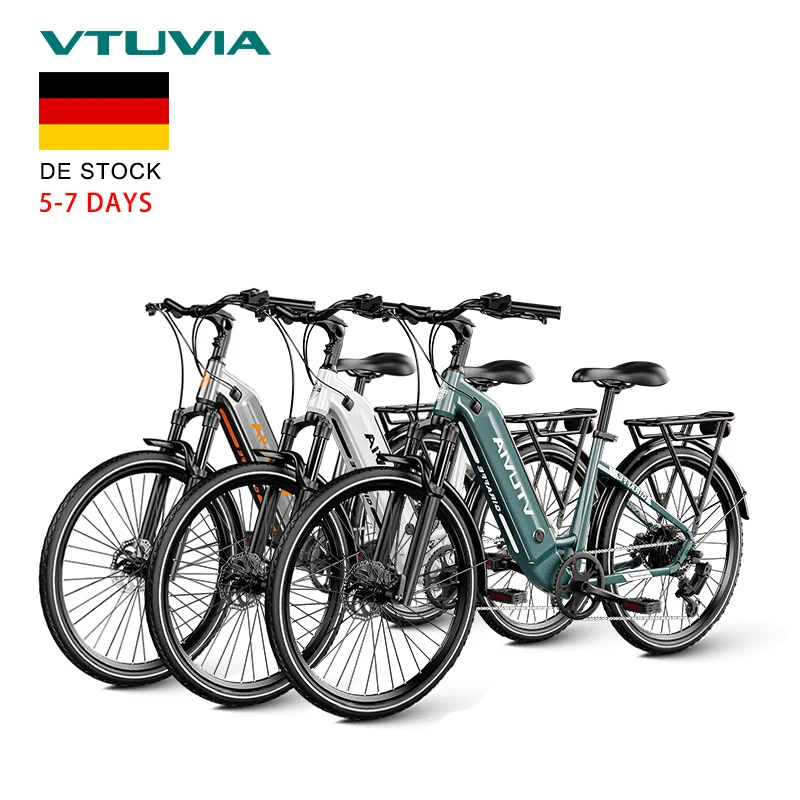 EU Germany Warehouse Stock OEM ODM Cheap 250w 36v 48v Torque Sensor Hub Motor 2 Sets Electric City Bike Bicycle Ebike