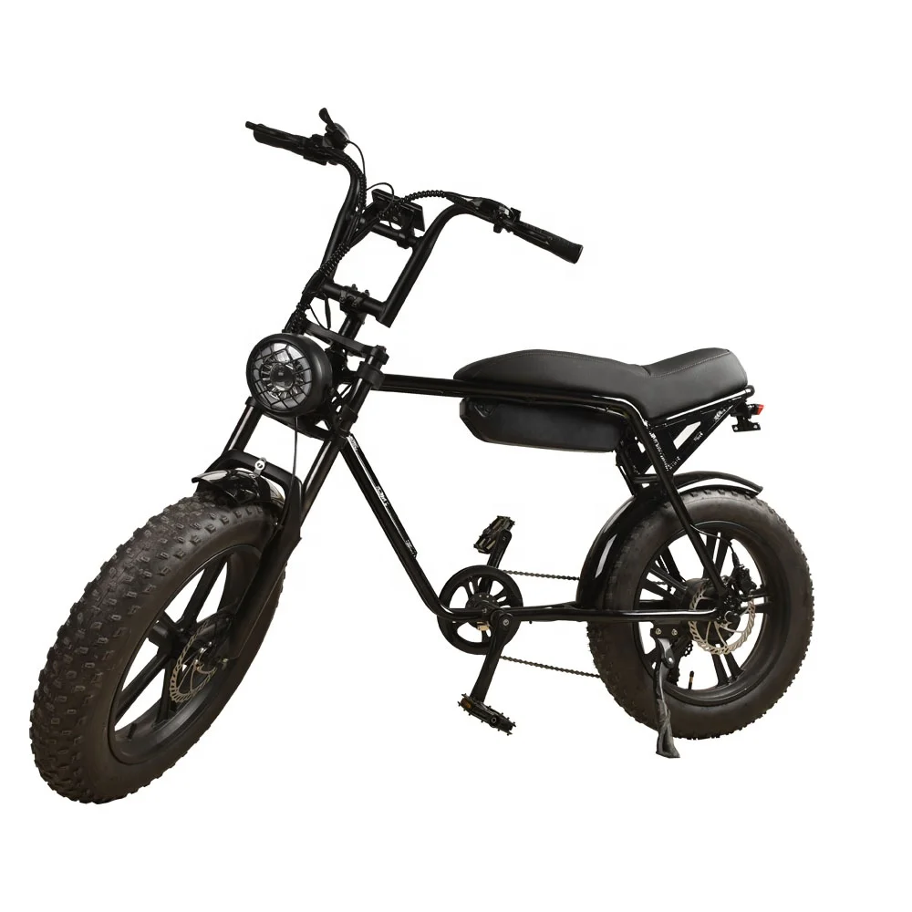 2024 hot sale 500 watt 48v fat tire mountain electric ebike bicicletta elettrica Adult full suspension electric motorcycle