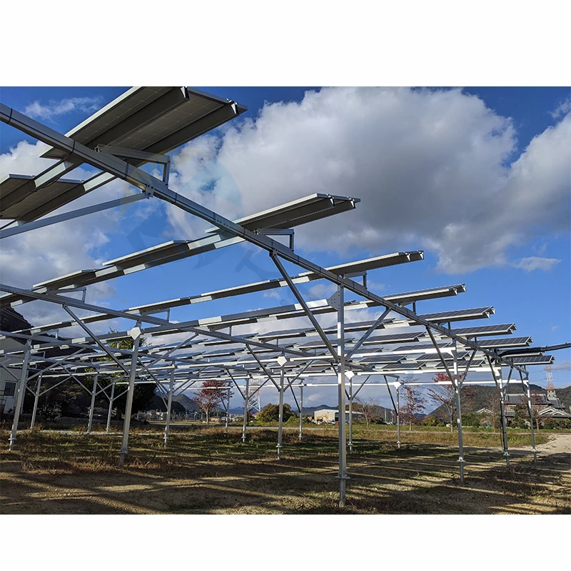 Solar Agriculture PV Mounting Bracket Photovoltaic Greenhouse And Agricultural Mounting System Solar Farm Solar Panel Farm