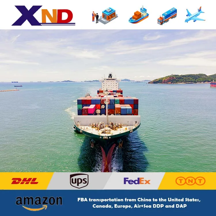 Sea Shipping DHL Express DDP Door To Door China To Germany Cheap and fast Logistics service from  China