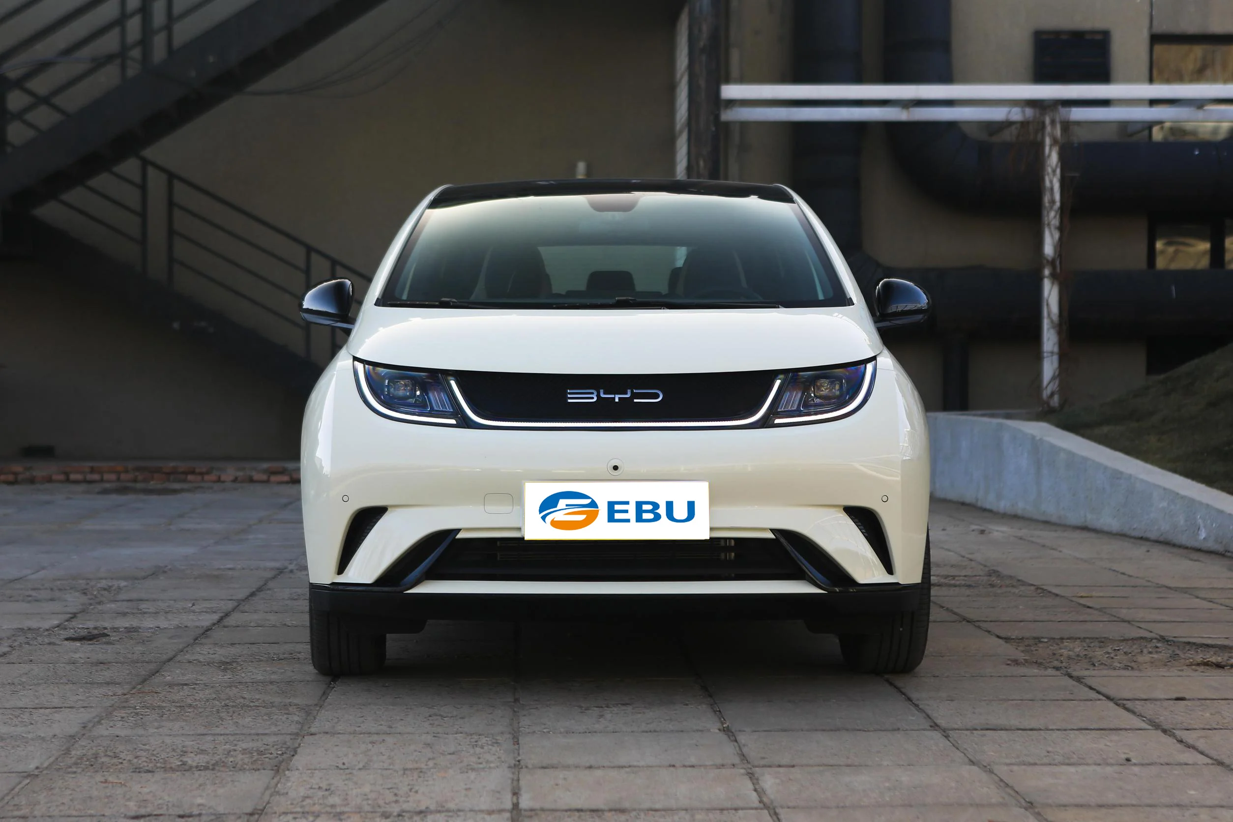 Uzbekistan Russia BYD Dolphin new electric city car High Speed Mini Electric Vehicle