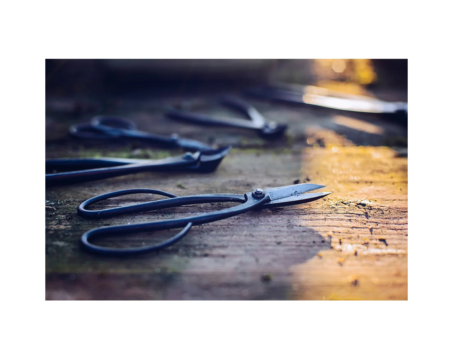 Wholesale Japanese products garden scissors cordless pruner