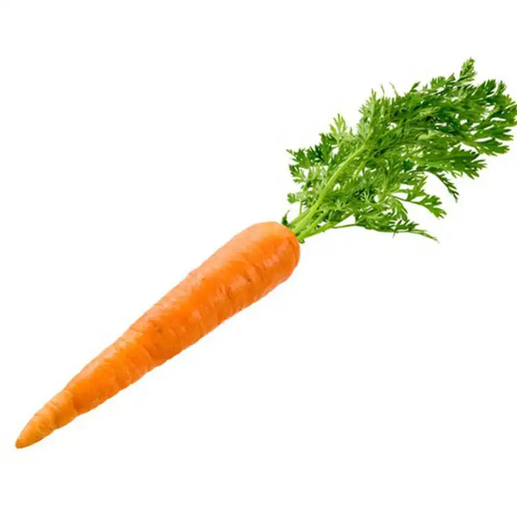 Экспортеры, оптовая продажа, низкая цена, высокое качество, китайский новый урожай, красная моющаяся морковь с чистой водой