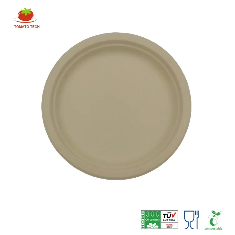 Eco friendly compostable disposable  restaurant bamboo 9 inch dinner paper plate